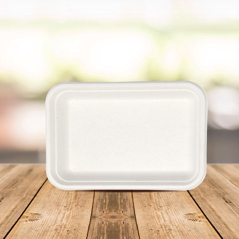 Disposable Plates | Bagasse Paper | Meal Plate | Beige