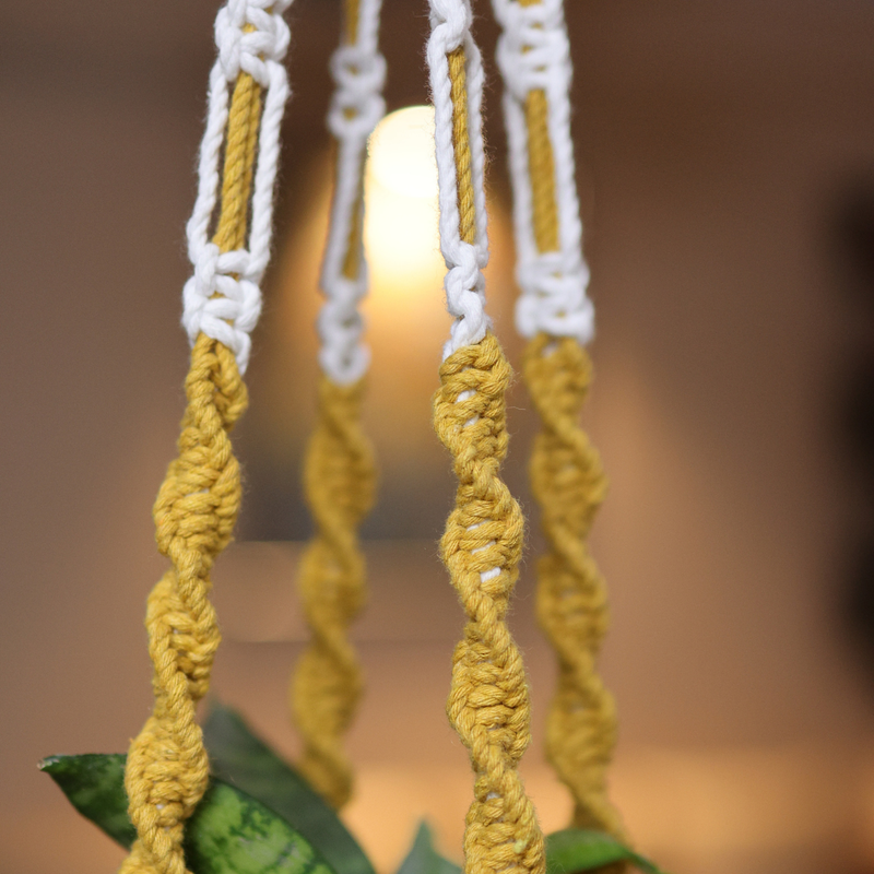 Cotton Macrame Plant Holder | Yellow