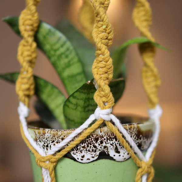 Cotton Macrame Plant Holder | Yellow