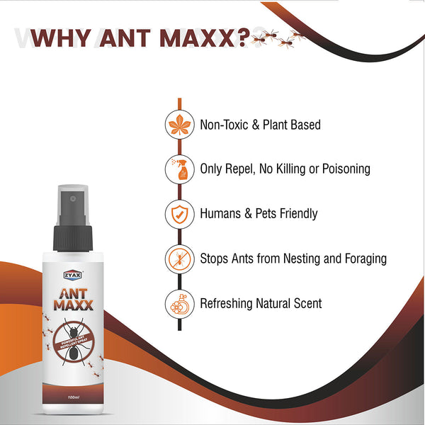 Ant Repellent Spray | 100 ml