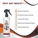 Ant Repellent Spray | 250 ml