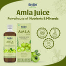 Sri Sri Tattva Amla Juice | Energise With Vitamin C | Rejuvenator, Immunity Builder & Antioxidant | 1 Litre