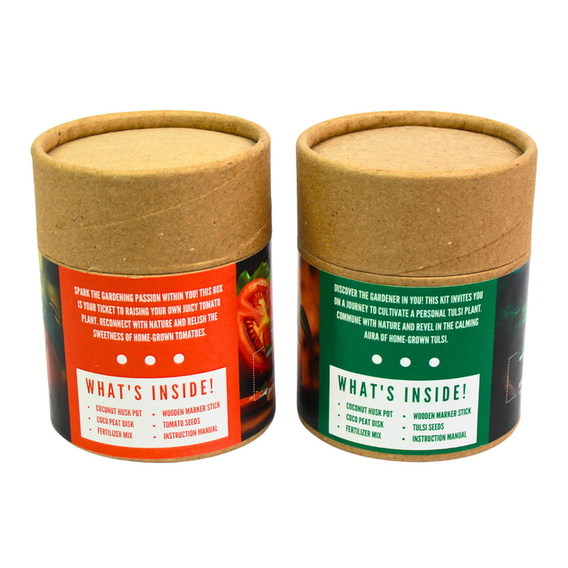 Plantable DIY Kit | Mix Seeds Fertiliser | Tomato & Basil | Set of 2