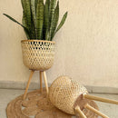 Bamboo Planter Pot | with Removable Legs | Beige