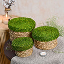 Sabai Grass Storage Boxes with Lid | Green | 17 cm