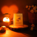 Aroma Diffuser | Ceramic Oil Burner | Aromatherapy | Set of 7