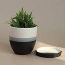 Ceramic Planter Pot | with Drainage Plate | Black-White