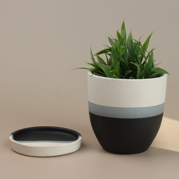 Ceramic Planter Pot | with Drainage Plate | Black-White