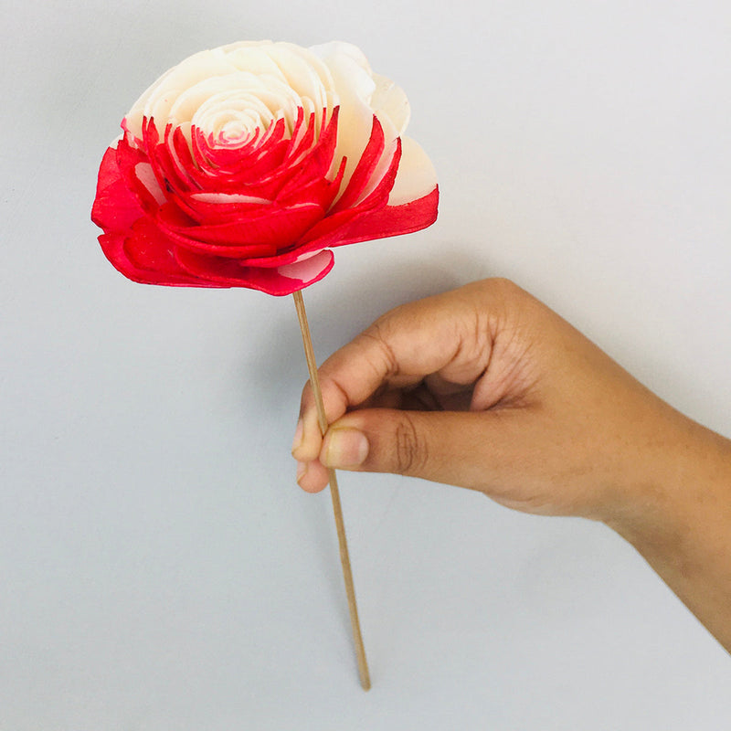 Dried Sola Flower Stick | Strawberry Pink | Set of 5