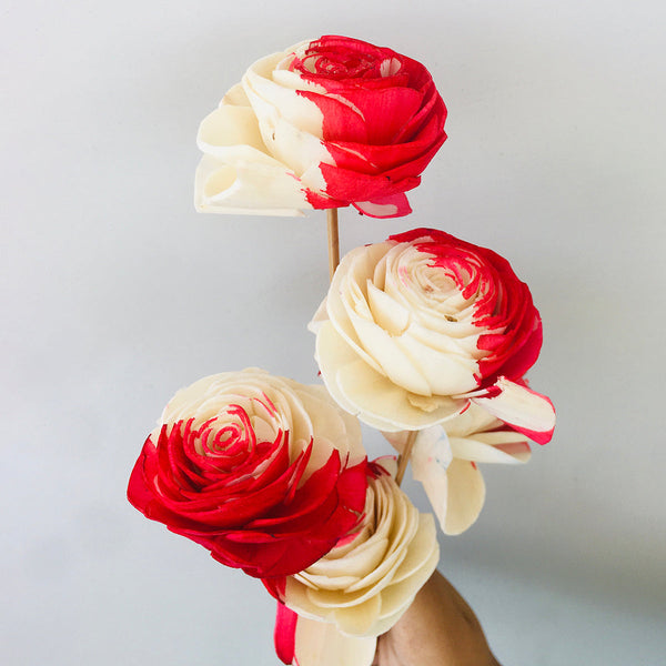 Dried Sola Flower Stick | Strawberry Pink | Set of 5