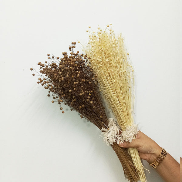 Dried Grass Stem | For Home Décor | Brown | 50 Stems | 14 inches