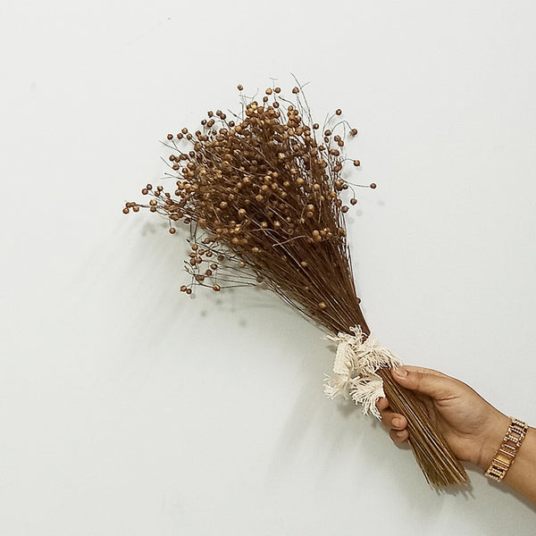 Dried Grass Stem | For Home Décor | Brown | 50 Stems | 14 inches