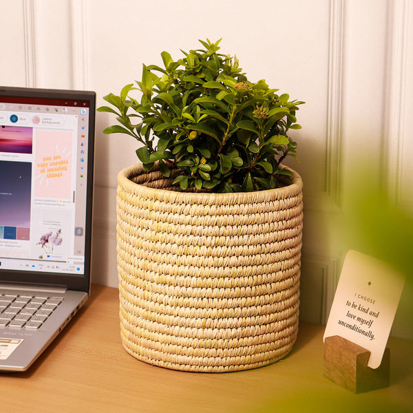 Datepalm Planter | Storage Basket | Ochre Yellow | 18 cm