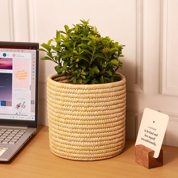 Datepalm Planter | Storage Basket | Ochre Yellow | 18 cm