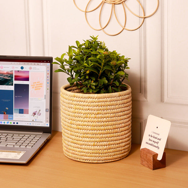 Datepalm Planter | Storage Basket | Ochre Yellow | 18 cm