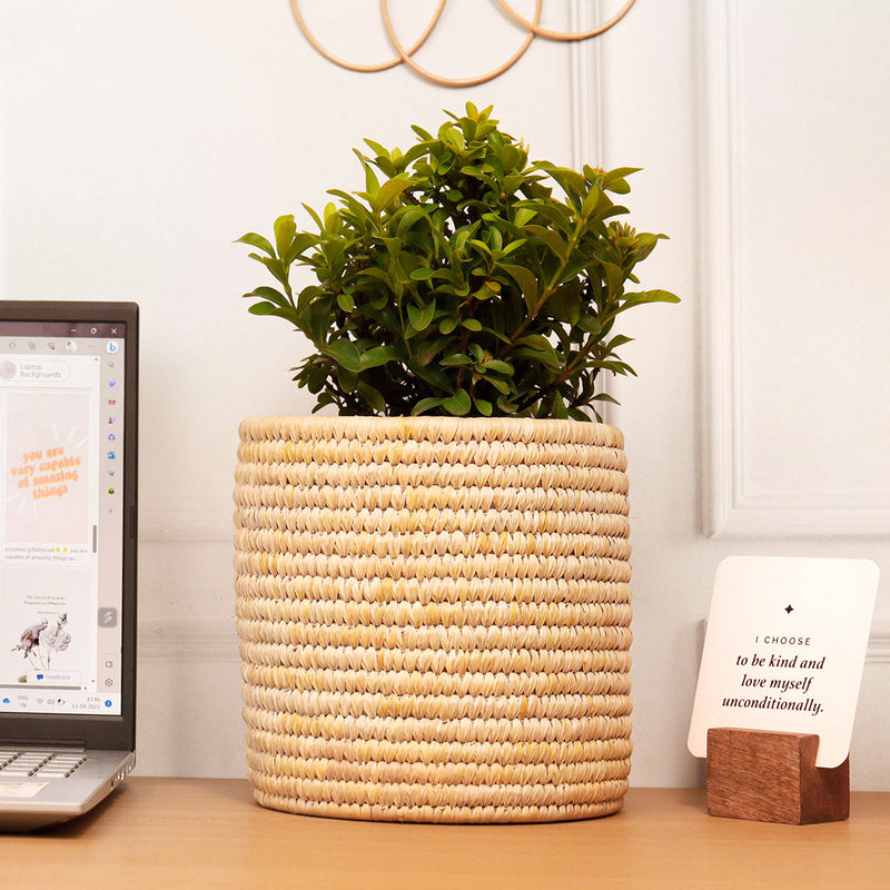 Datepalm Planter | Storage Basket | Ochre Yellow | 18 cm