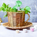 Grass Cup & Saucer Mini Planter | Beige