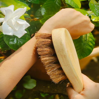 Wooden Body Brush | Coconut Fiber | Skin Exfoliator
