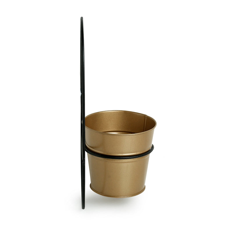 Iron Wall Planter | Arched Bucket Design | Golden & Black | 12 inches