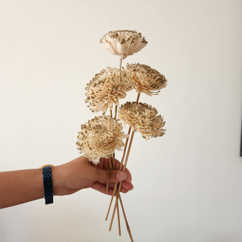 Sola Flowers Sticks | Zinnia | White | 20 cm | 5 Pcs