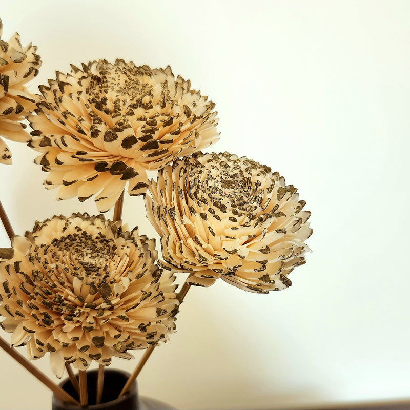 Sola Flowers Sticks | Zinnia | White | 20 cm | 5 Pcs