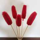 Dried Flower Stems | Red | 45 cm | 5 Pcs