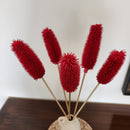 Dried Flower Stems | Red | 45 cm | 5 Pcs