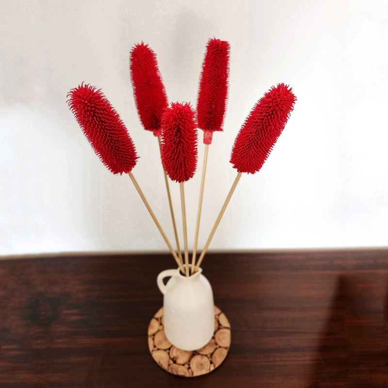 Dried Flower Stems | Red | 45 cm | 5 Pcs