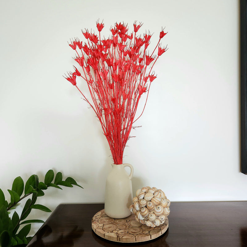 Nigella Dried Flowers | Red | 40 cm