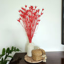 Nigella Dried Flowers | Red | 40 cm