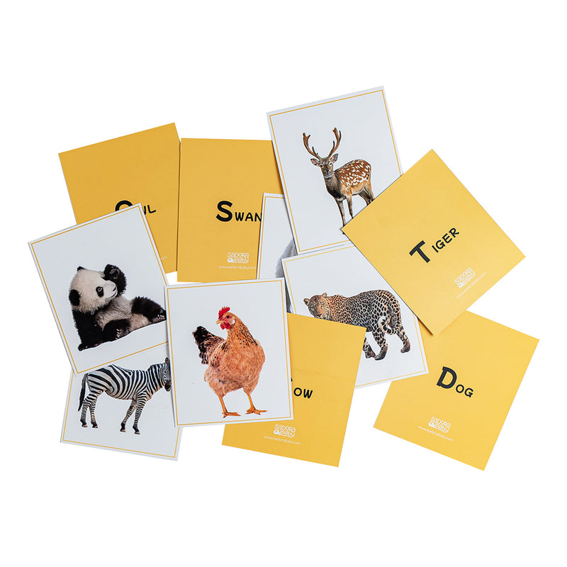 Wild Animal Flashcards for Baby & Kids | Multicolour | 33 Cards