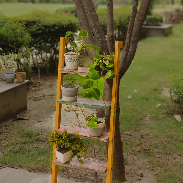 Multipurpose Wooden Ladder Shelf | Planters & Books | Multicolour