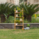 Multipurpose Wooden Ladder Shelf | Planters & Books | Multicolour