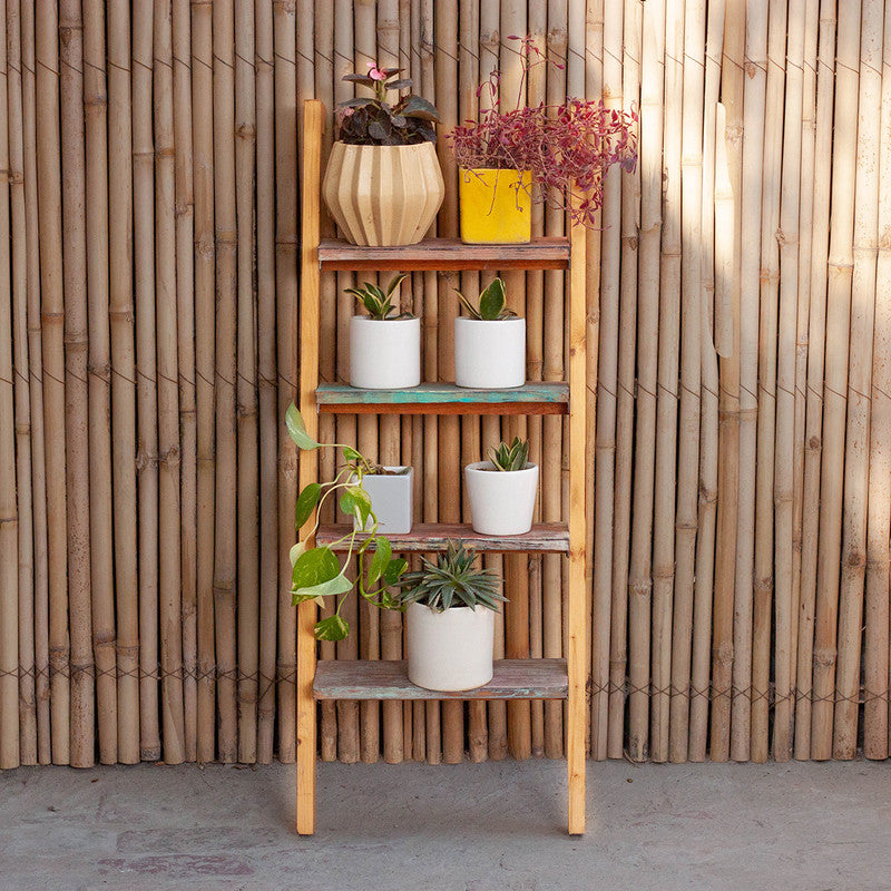 Multipurpose Wooden Ladder Shelf | Planters & Books | Multicolour