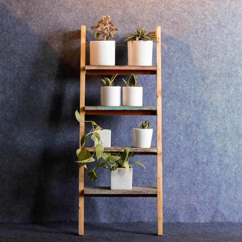 Multipurpose Wooden Ladder Shelf | Planters & Books | Multicolour