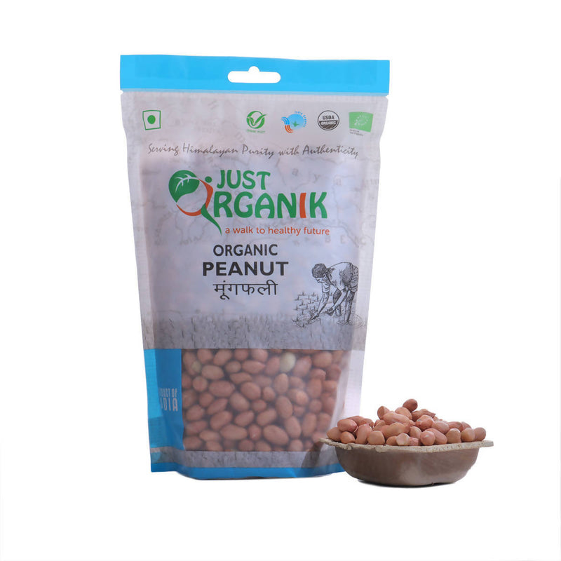 Fasting Food | Peanut | Organic | 500 g