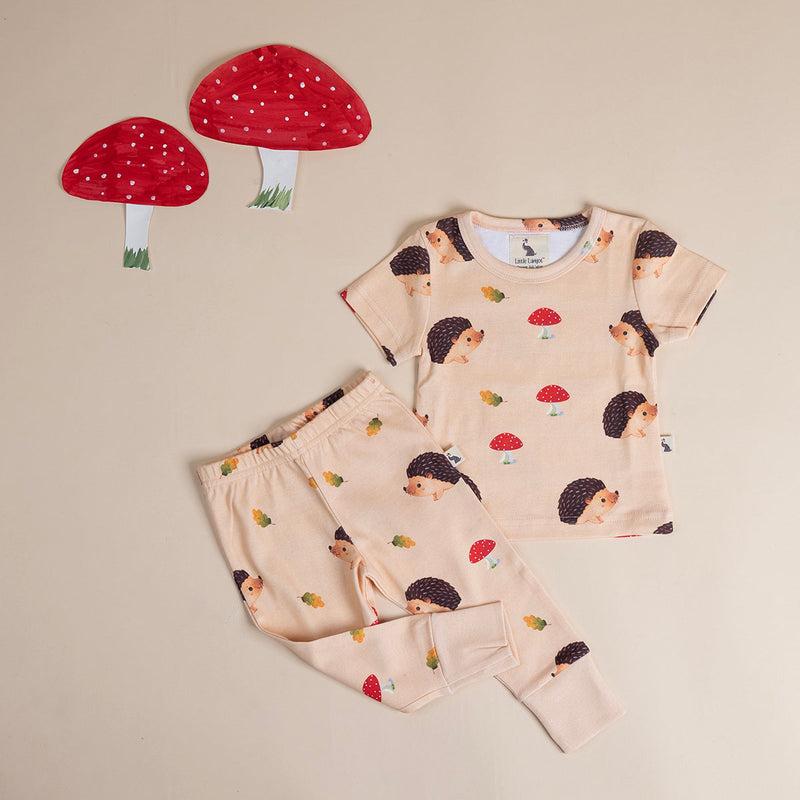 Kids T-Shirt and Joggers Set | Organic Cotton | Hedgehog & Hearts Design | Brown