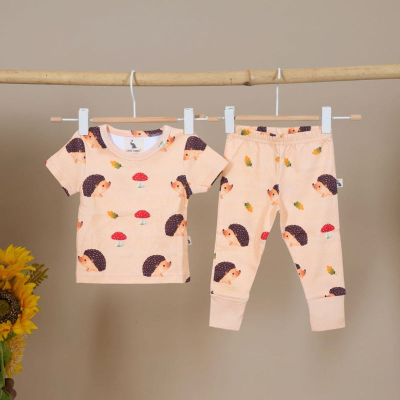 Kids T-Shirt and Joggers Set | Organic Cotton | Hedgehog & Hearts Design | Brown