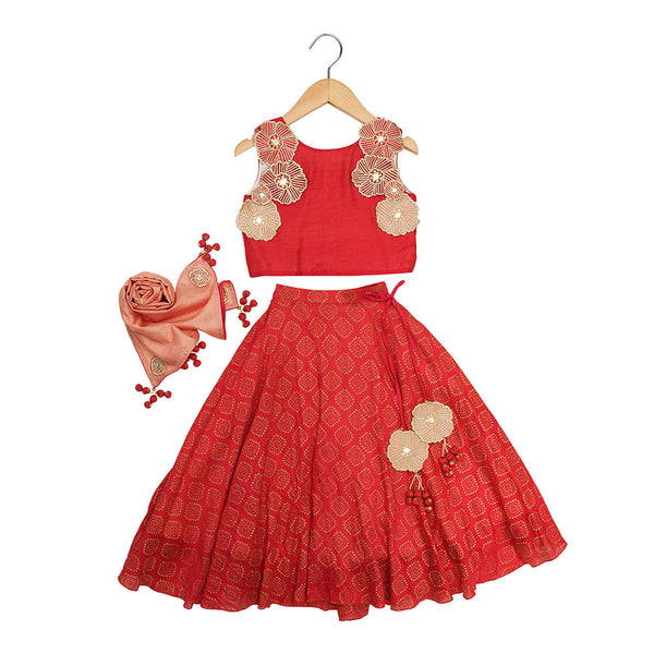 Lehenga Set for Girls | Organic Cotton & Chanderi | Floral Embroidered | Red