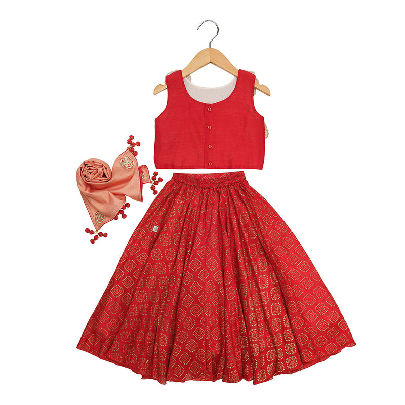 Lehenga Set for Girls | Organic Cotton & Chanderi | Floral Embroidered | Red