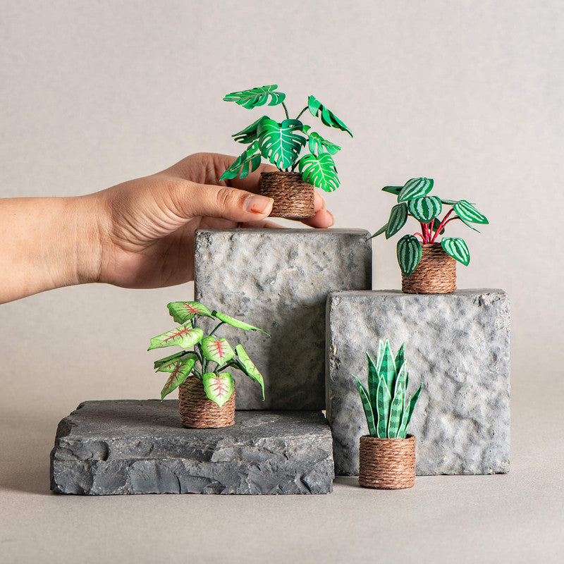 Miniature Paper Plant | Nature's Haven | Green | Set of 4