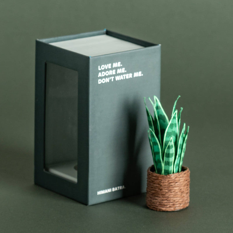 Miniature Paper Plant | Snake Plant | Green