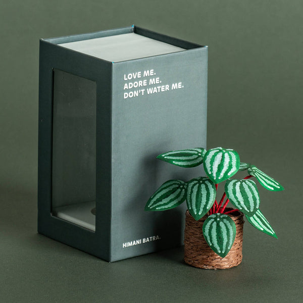 Miniature Paper Plant | Watermelon Peperomia | Green