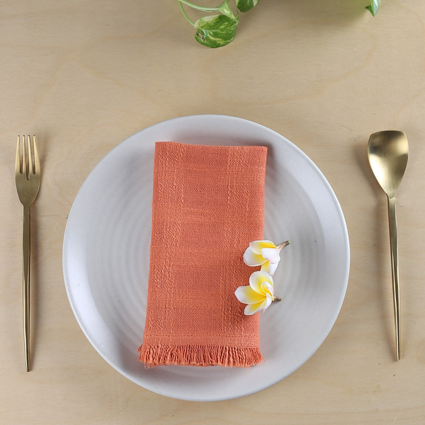 Cotton Cloth Table Napkins | Woven Design | Rust