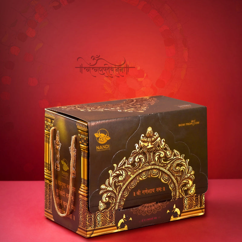 Panchgavya Ganesh Idol | Eco Friendly Ganpati Idol | with Temple Box | Set of 2