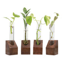 Sheesham Wood Planter | Plant Propagation Station | Set of 4