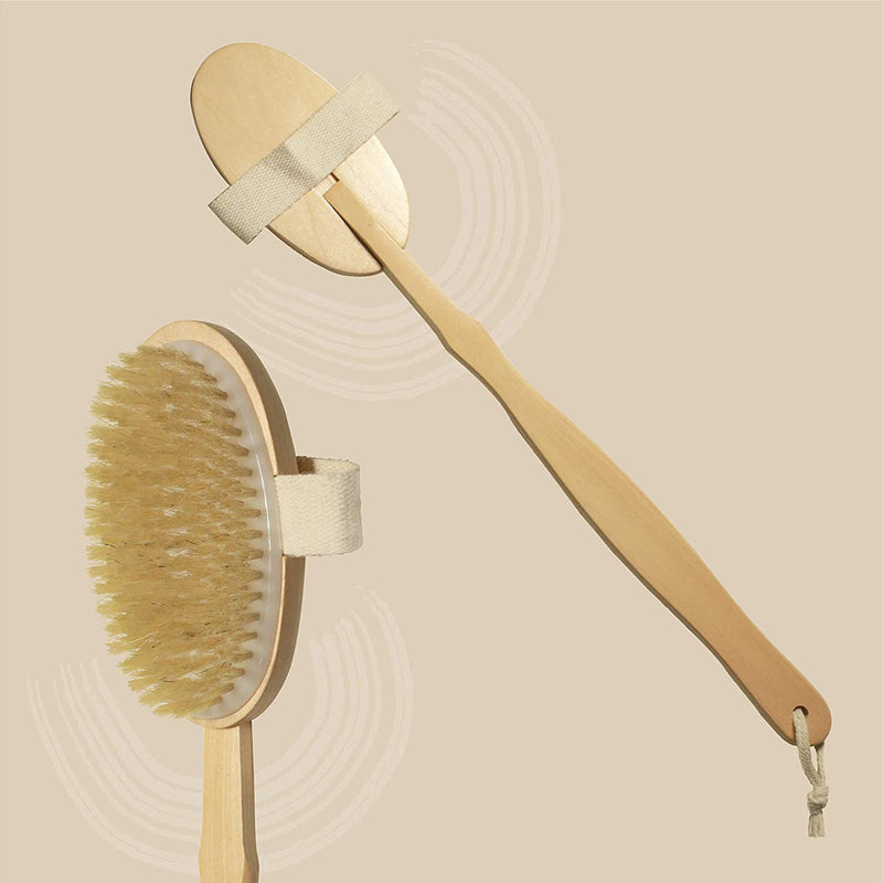 Bath Brush | With Removable Handle | Brown