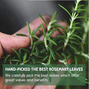 Dried Rosemary Leaves | Rich in Essential Vitamins | 50 g