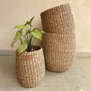 Sea Grass Plant Basket | Brown