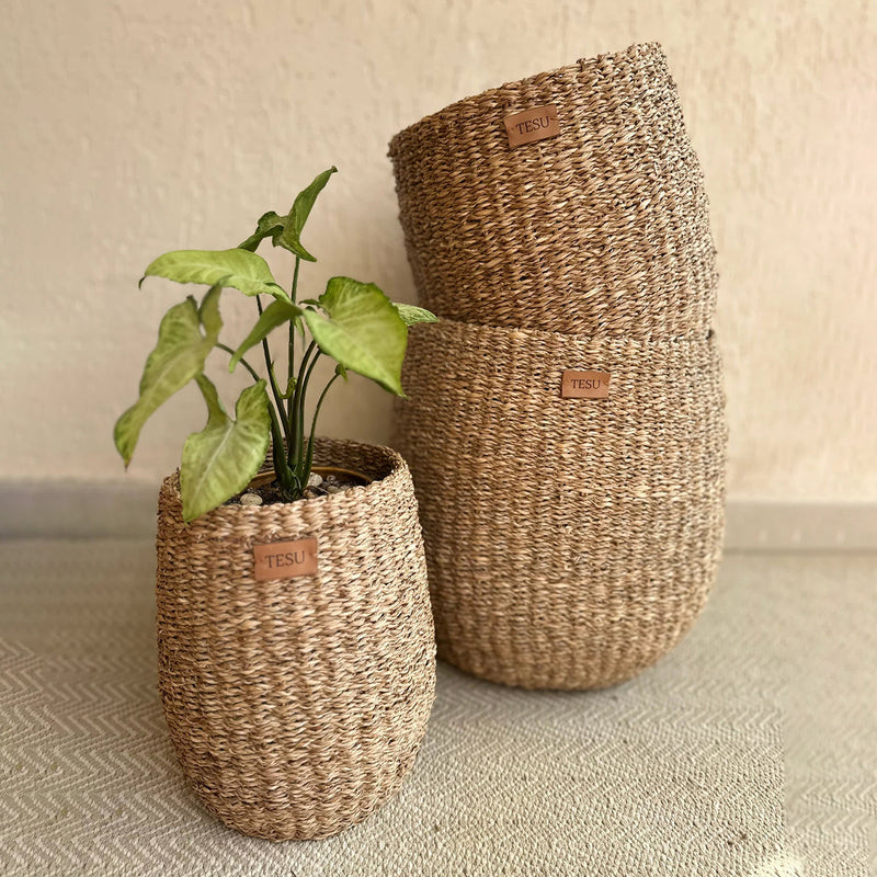 Sea Grass Plant Basket | Brown